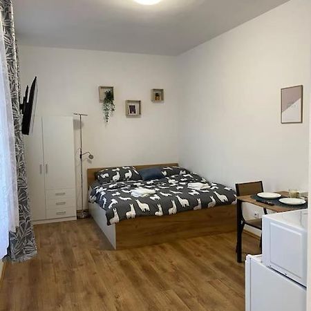 Cozy 1 Bedroom Studio In The Center Of Pilsen Dış mekan fotoğraf