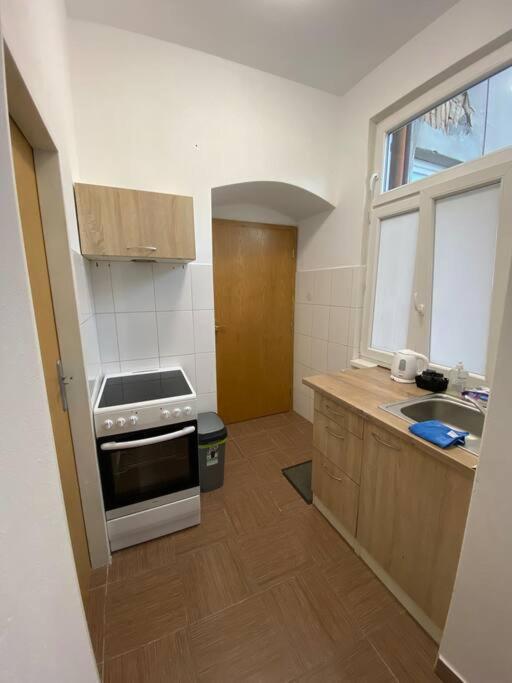 Cozy 1 Bedroom Studio In The Center Of Pilsen Dış mekan fotoğraf